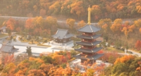五重塔j1.jpg