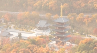 五重塔j1.jpg